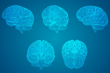 全国211大学排名表（全国211大学排名表及分数线）