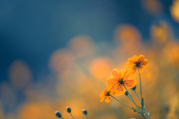 【四川工商学院学费,四川工商学院学费一年多少钱2025最新标准】