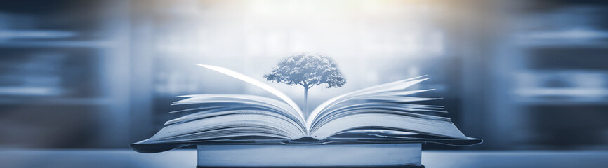 初级会计报名官网入口2025（初级会计报名官网入口2025年）