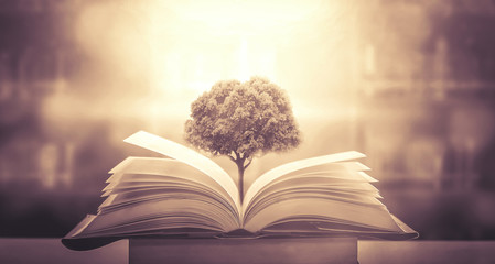 资产评估师（资产评估师含金量高吗）