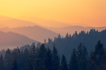 资产评估师（资产评估师含金量高吗）