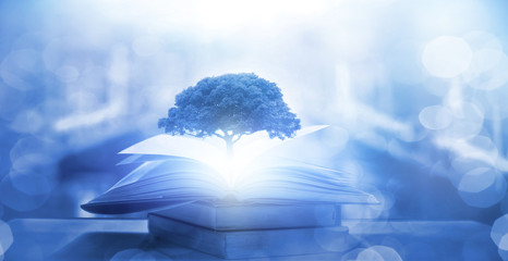 安徽往届高考成绩查询入口/如何查安徽历年高考位次