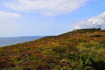 安徽往届高考成绩查询入口/如何查安徽历年高考位次
