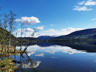 复旦大学2+2国际本科/复旦中外合作办学本科