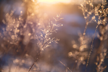 【广东财经职业学院是大专吗,广东财经职业技术学院怎么样】