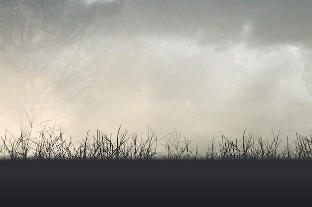 四级一般人能考多少分（四级一般人能考多少分啊）