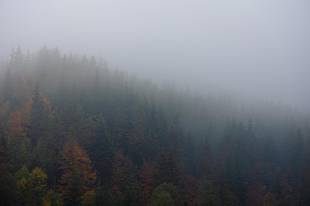 【2015高考一分一段表查询,2015年一分一段分数表】