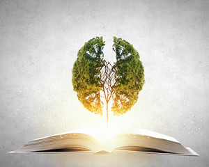 【广东财经职业学院是大专吗,广东财经职业技术学院怎么样】