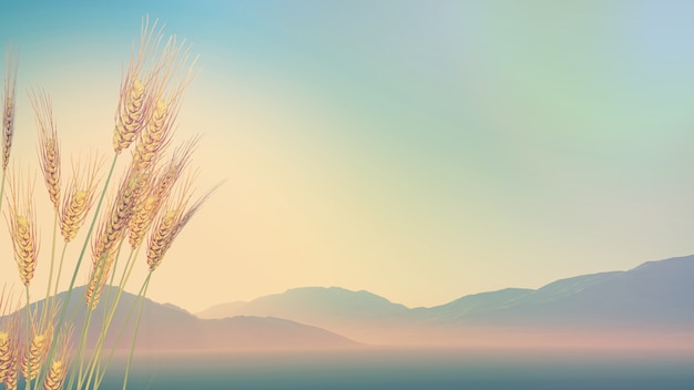 【香港的大学排名,香港的大学排名为什么那么高】