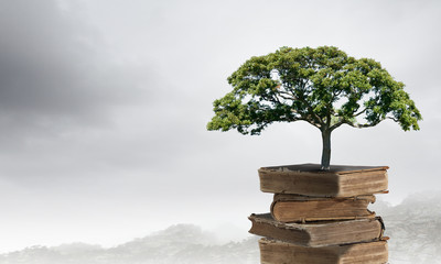 【香港的大学排名,香港的大学排名为什么那么高】