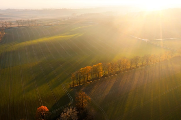 全国211大学排名表（全国211大学排名表及分数线）