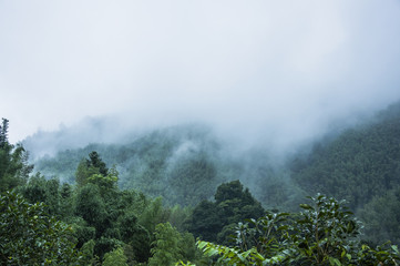 四级一般人能考多少分（四级一般人能考多少分啊）